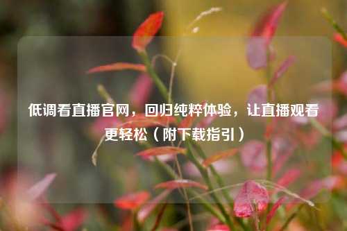 低调看直播官网,回归纯粹体验,让直播观看更轻松(附下载指引)