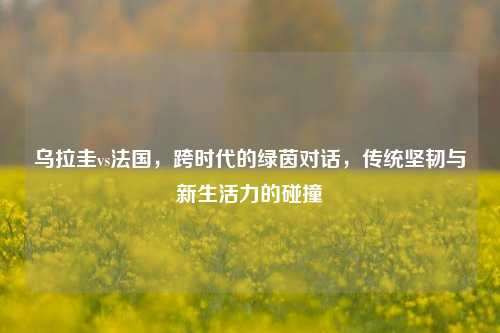 乌拉圭vs法国,跨时代的绿茵对话,传统坚韧与新生活力的碰撞