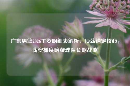 广东男篮2026工资明细表解析,顶薪锚定核心,薪资梯度暗藏球队长期战略