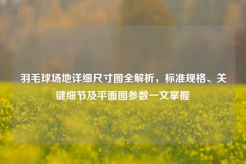 羽毛球场地详细尺寸图全解析,标准规格、关键细节及平面图参数一文掌握