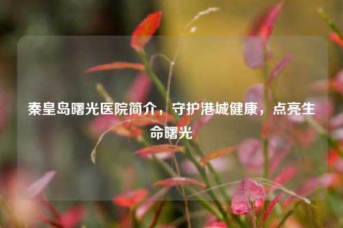 秦皇岛曙光医院简介,守护港城健康,点亮生命曙光