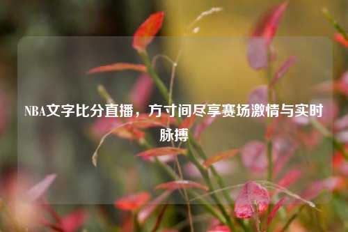 NBA文字比分直播,方寸间尽享赛场 与实时脉搏