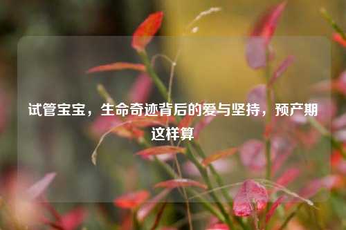 试管宝宝,生命奇迹背后的爱与坚持,预产期这样算