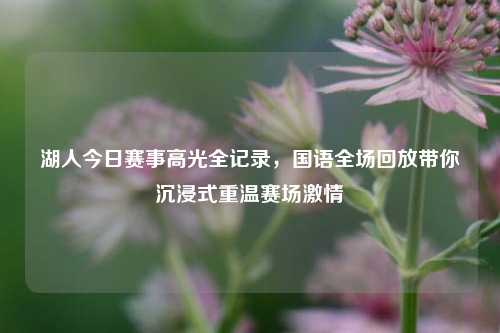 湖人今日赛事高光全记录,国语全场回放带你沉浸式重温赛场