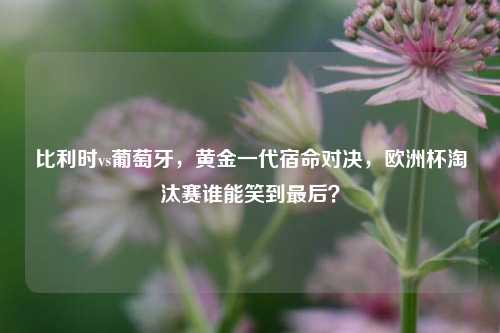 比利时vs葡萄牙,黄金一代宿命对决,欧洲杯淘汰赛谁能笑到最后?