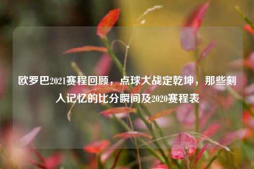 欧罗巴2021赛程回顾,点球大战定乾坤,那些刻入记忆的比分瞬间及2020赛程表