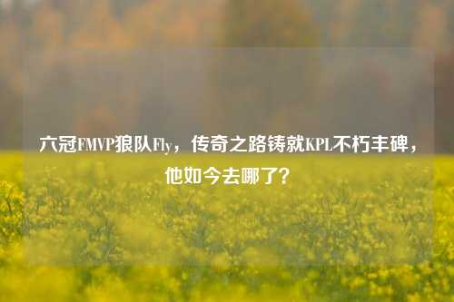 六冠FMVP狼队Fly,传奇之路铸就KPL不朽丰碑,他如今去哪了?