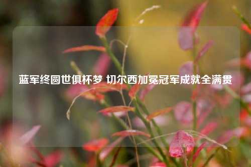 蓝军终圆世俱杯梦 切尔西加冕冠军成就全满贯