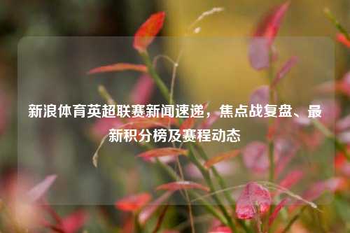 新浪体育英超联赛新闻速递,焦点战复盘、最新积分榜及赛程动态