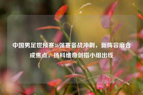 中国男足世预赛36强赛备战冲刺,新阵容磨合成焦点,扬科维奇剑指小组出线
