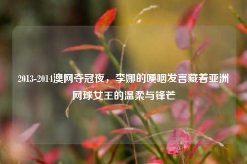 2013-2014澳网夺冠夜,李娜的哽咽发言藏着亚洲网球女王的温柔与锋芒