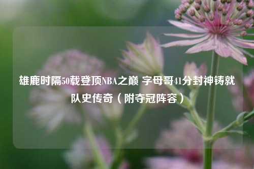 雄鹿时隔50载登顶NBA之巅 字母哥41分封神铸就队史传奇(附夺冠阵容)