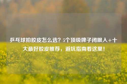 乒乓球拍胶皮怎么选?5个顶级牌子闭眼入+十大更好胶皮推荐,避坑指南看这里!