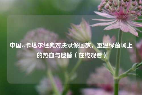 中国vs卡塔尔经典对决录像回放,重温绿茵场上的热血与遗憾(在线观看)
