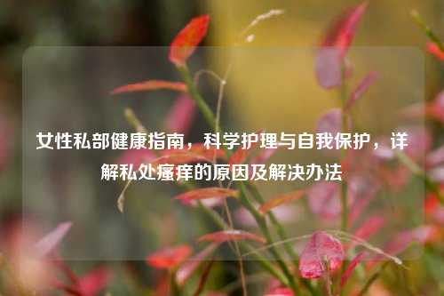 女性私部健康指南,科学护理与自我保护,详解私处瘙痒的原因及解决办法