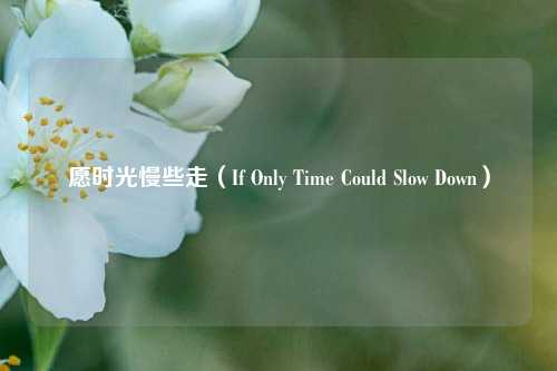 愿时光慢些走(If Only Time Could Slow Down)
