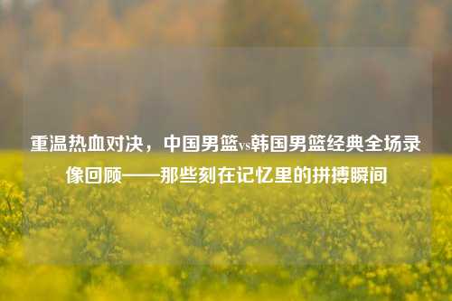 重温热血对决,中国男篮vs韩国男篮经典全场录像回顾——那些刻在记忆里的拼搏瞬间
