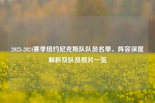 2023-2024赛季纽约尼克斯队队员名单、阵容深度解析及队员照片一览