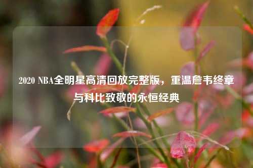 2020 NBA全明星高清回放完整版,重温詹韦终章与科比致敬的永恒经典