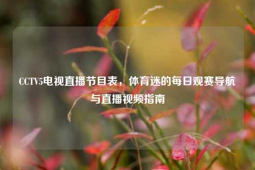CCTV5电视直播节目表,体育迷的每日观赛导航与直播视频指南