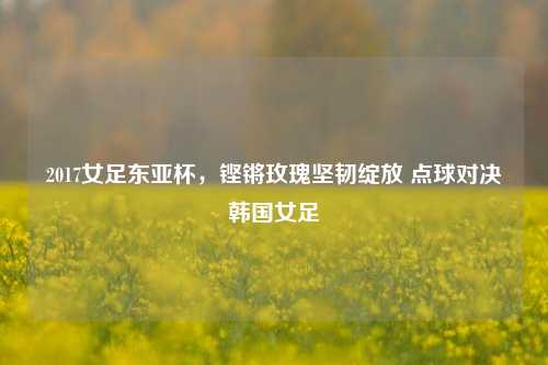 2017女足东亚杯,铿锵玫瑰坚韧绽放 点球对决韩国女足