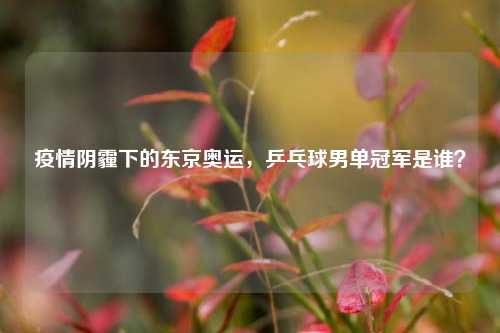 疫情阴霾下的东京奥运,乒乓球男单冠军是谁?