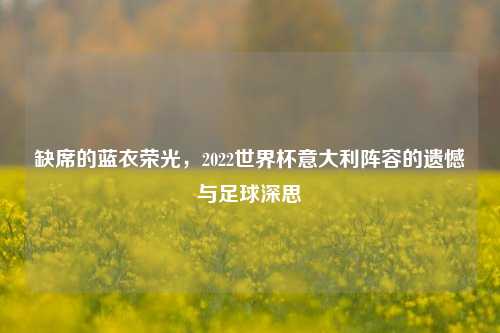 缺席的蓝衣荣光,2022世界杯意大利阵容的遗憾与足球深思