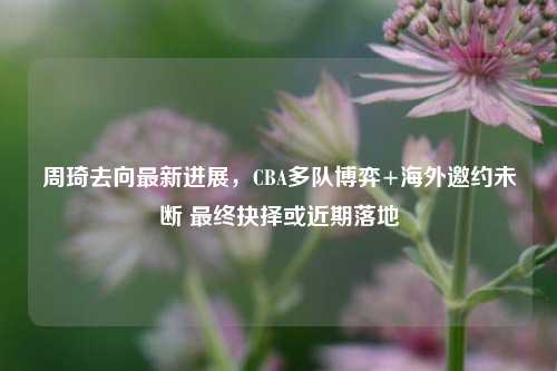 周琦去向最新进展,CBA多队博弈+海外邀约未断 最终抉择或近期落地