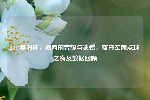 2015美洲杯,梅西的荣耀与遗憾,蓝白军团点球之殇及数据回顾