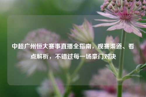 中超广州恒大赛事直播全指南,观赛渠道、看点解析,不错过每一场豪门对决