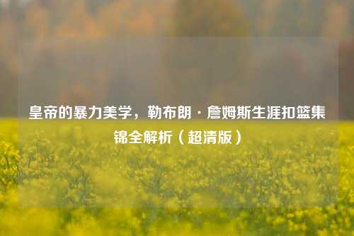 皇帝的暴力美学,勒布朗·詹姆斯生涯扣篮集锦全解析(超清版)