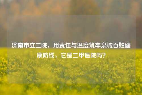 济南市立三院,用责任与温度筑牢泉城百姓健康防线,它是三甲医院吗?