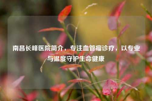 南昌长峰医院简介,专注血管瘤诊疗,以专业与温度守护生命健康