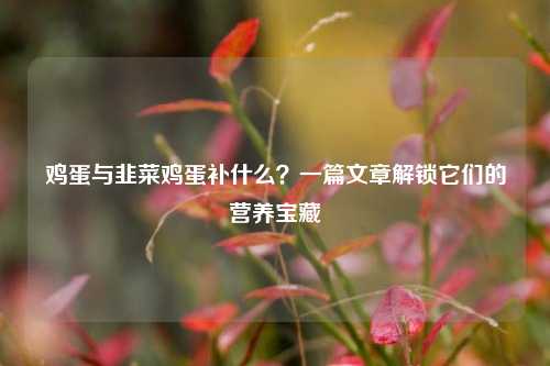 鸡蛋与韭菜鸡蛋补什么?一篇文章解锁它们的营养宝藏