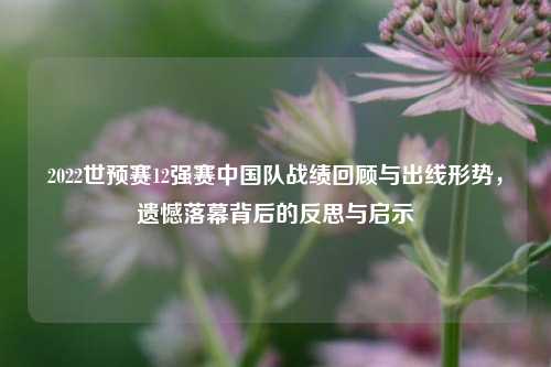 2022世预赛12强赛中国队战绩回顾与出线形势,遗憾落幕背后的反思与启示