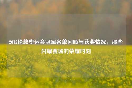 2012伦敦奥运会冠军名单回顾与获奖情况,那些闪耀赛场的荣耀时刻