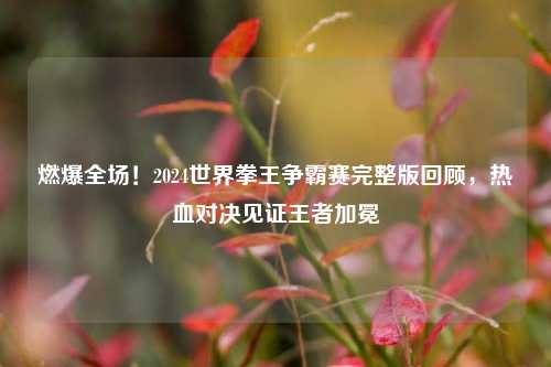 燃爆全场!2024世界拳王争霸赛完整版回顾,热血对决见证王者加冕