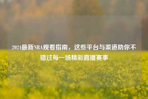 2024最新NBA观看指南,这些平台与渠道助你不错过每一场精彩直播赛事