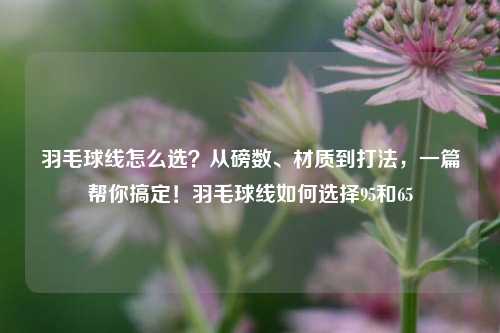 羽毛球线怎么选?从磅数、材质到打法,一篇帮你搞定!羽毛球线如何选择95和65