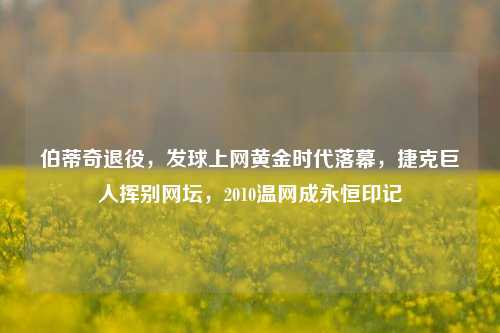 伯蒂奇退役,发球上网黄金时代落幕,捷克巨人挥别网坛,2010温网成永恒印记