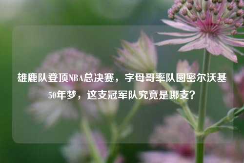雄鹿队登顶NBA总决赛,字母哥率队圆密尔沃基50年梦,这支冠军队究竟是哪支?
