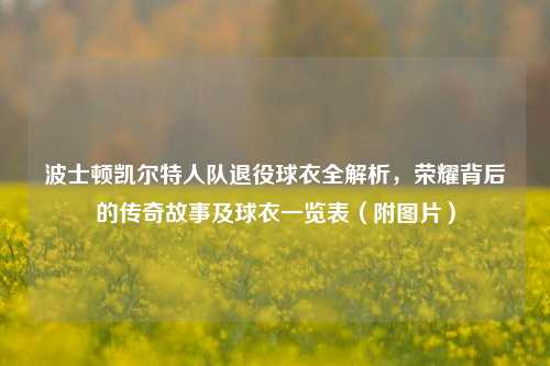 波士顿凯尔特人队退役球衣全解析,荣耀背后的传奇故事及球衣一览表(附图片)