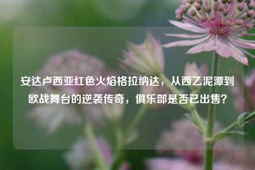 安达卢西亚红色火焰格拉纳达,从西乙泥潭到欧战舞台的逆袭传奇,俱乐部是否已出售?