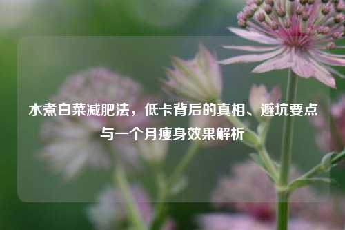 水煮白菜减肥法,低卡背后的真相、避坑要点与一个月瘦身效果解析