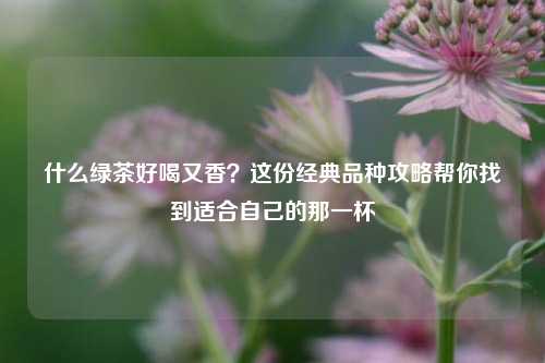 什么绿茶好喝又香?这份经典品种攻略帮你找到适合自己的那一杯