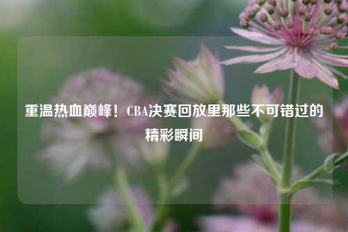 重温热血巅峰!CBA决赛回放里那些不可错过的精彩瞬间