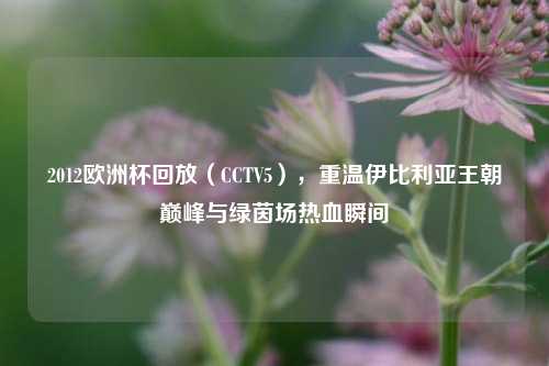 2012欧洲杯回放(CCTV5),重温伊比利亚王朝巅峰与绿茵场热血瞬间