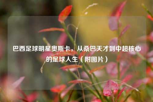 巴西足球明星奥斯卡,从桑巴天才到中超核心的足球人生(附图片)