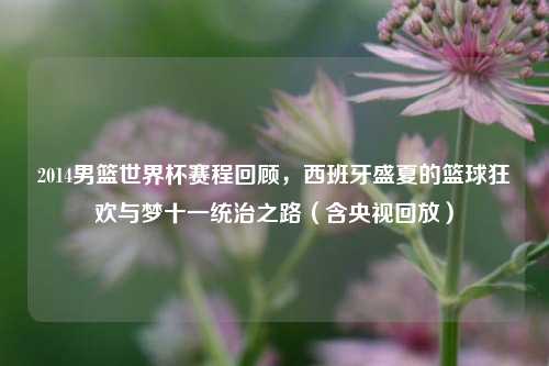 2014男篮世界杯赛程回顾,西班牙盛夏的篮球狂欢与梦十一统治之路(含央视回放)