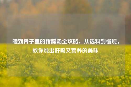 暖到骨子里的猪蹄汤全攻略,从选料到慢炖,教你炖出好喝又营养的美味
